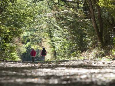 © Jean-Charles SEXE / Grand Besançon Métropole