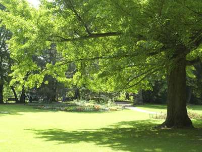 © LA PROMENADE MICAUD