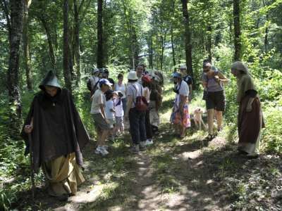 © LA FORET DE CHAILLUZ