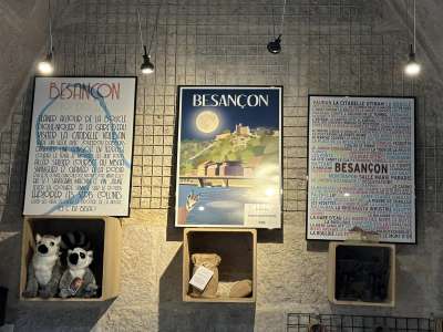 © EI Volo Graphisme