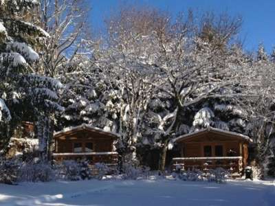 © CAMPING - DE LA FORÊT