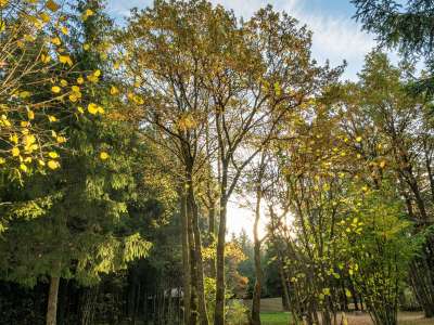 © L. Lépeule Photographie