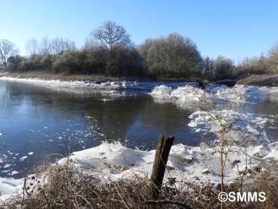 © Syndicat Mixte du Marais de Saône
