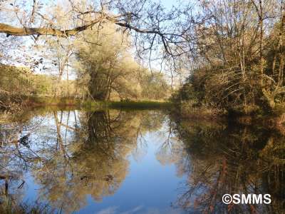 © Syndicat Mixte du Marais de Saône