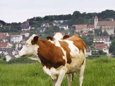 © Olivier Perrenoud / Grand Besançon Métropole