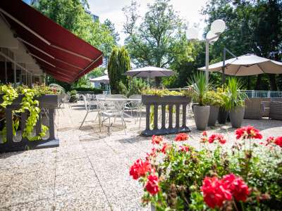 © Johann Cour Suricate photographie