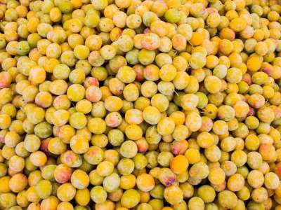 © Emmanuel EME / Grand Besançon Métropole