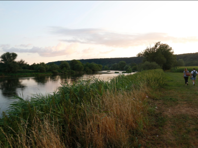 © Jean Charles SEXE