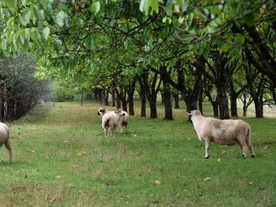 © Emmanuel EME / Grand Besançon Métropole