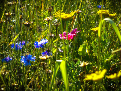 © Emmanuel EME Grand Besançon Métropole