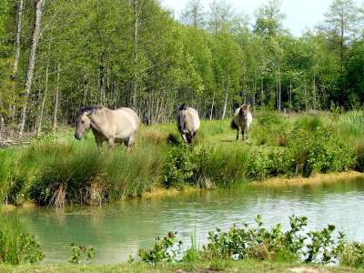 © Emmanuel EME / Grand Besançon Métropôle